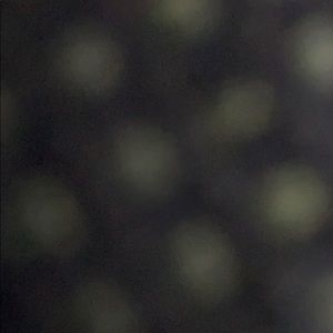 Meet your Posher, Daribel